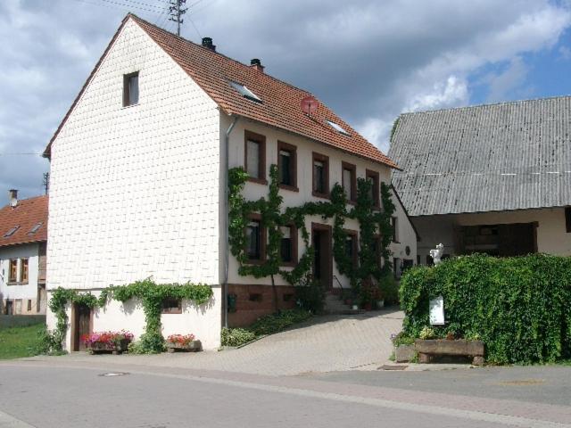 Zucht- Und Ausbildungsstall Rubly Kleinbundenbach Экстерьер фото
